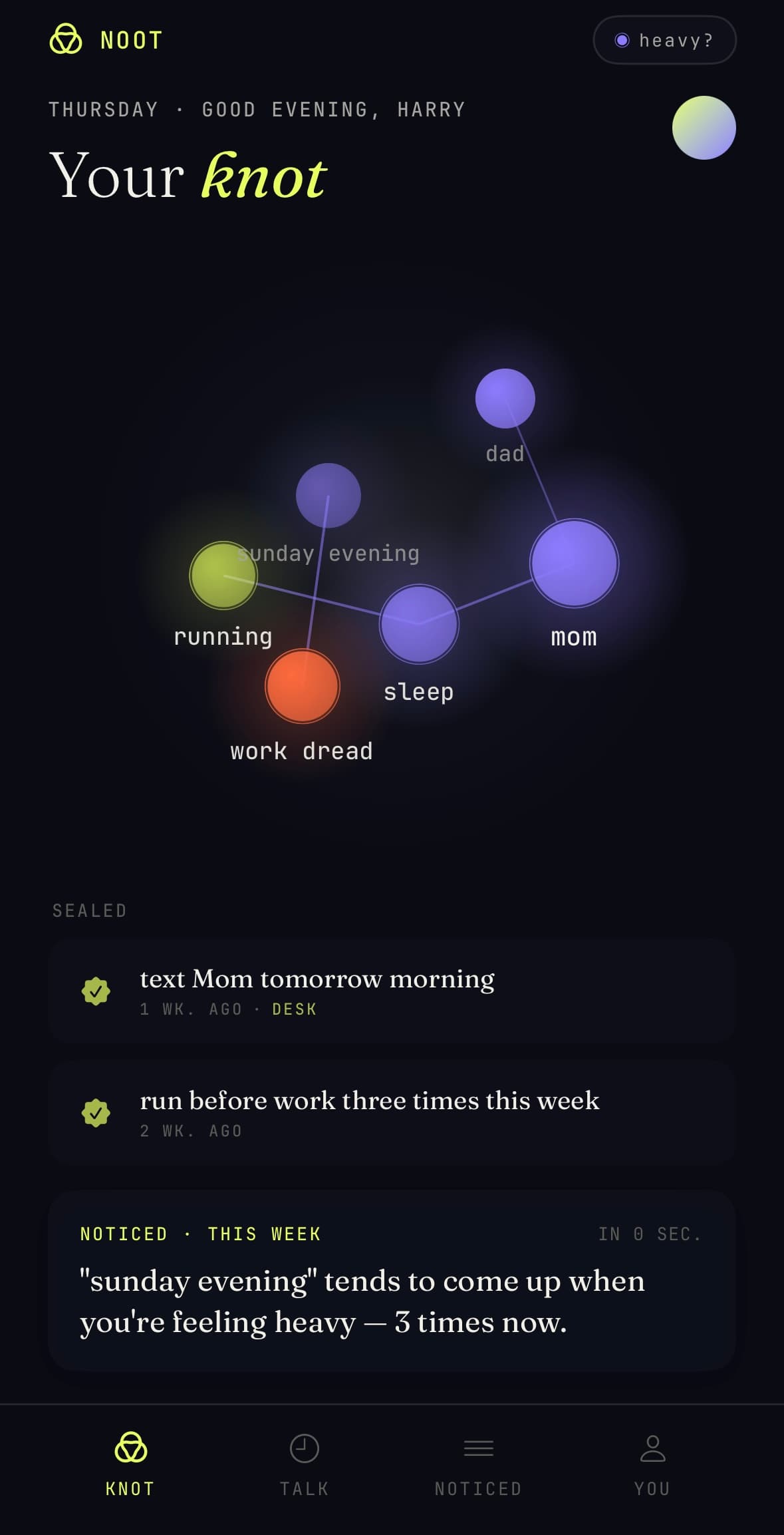 Noot beta — Your Knot screen showing the living knowledge graph